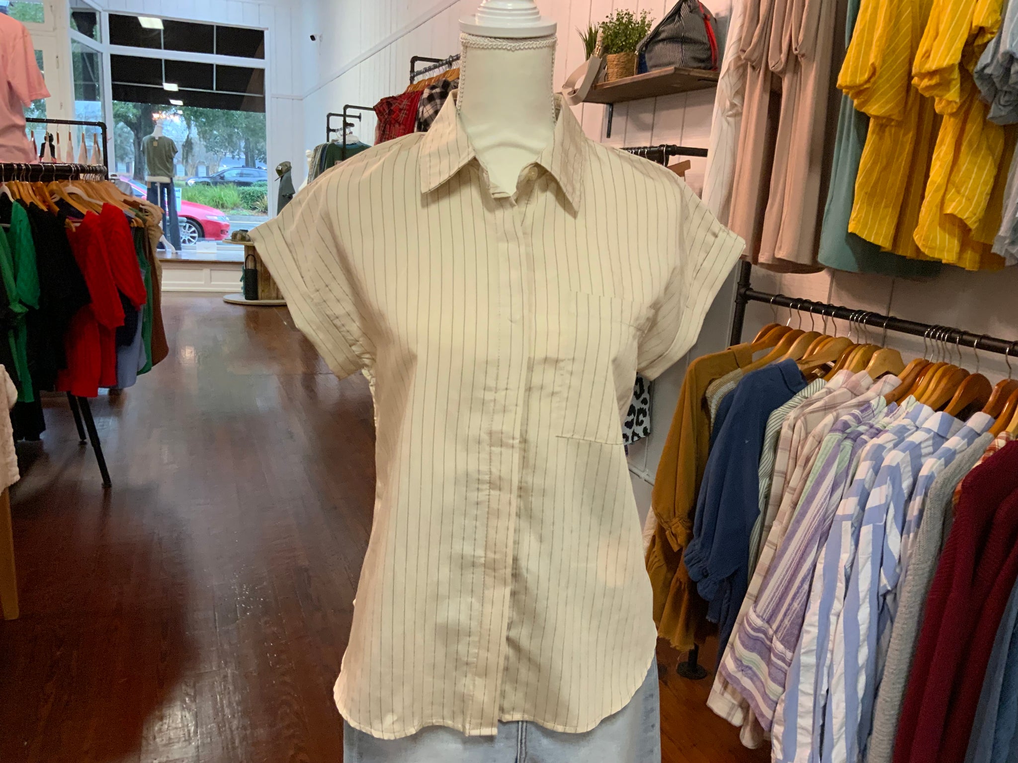 Blu Pepper Pinstriped Short Sleeve Collared Top